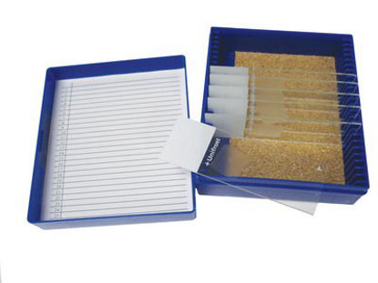 Picture of Histology Control Slide Trichrome Tissue 11 SlidesESCS-129