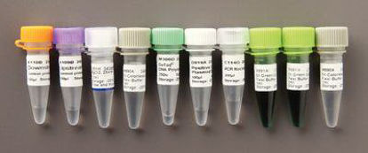 Picture of PCR Core System Promega™ GoTaq®851422