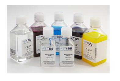 Picture of STAIN KIT, TRICHROME MASSON 500ML D/SSPS-MTS