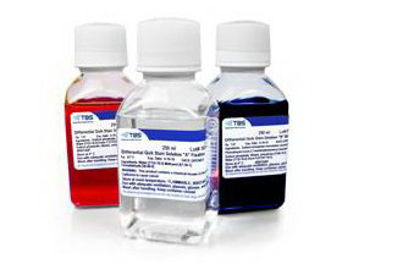 Picture of Differential Stain Solution Kit 500 mLSPS-MG