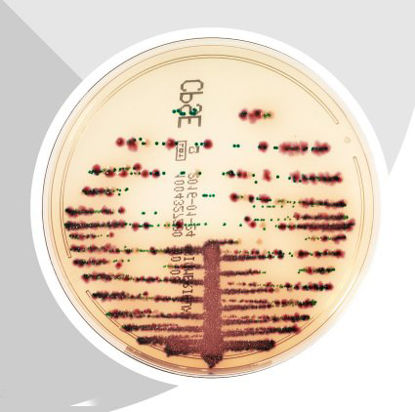 Picture of Culture Media chromID® CPS® Elite CPSE Agar Mono-Plate Format416172