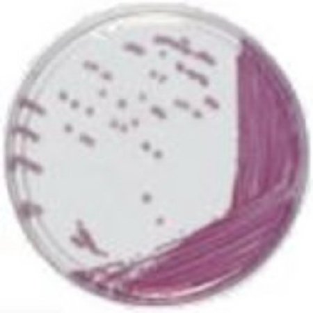 Picture of Culture Media chromID® Chromogenic Media Mono-Plate Format43621