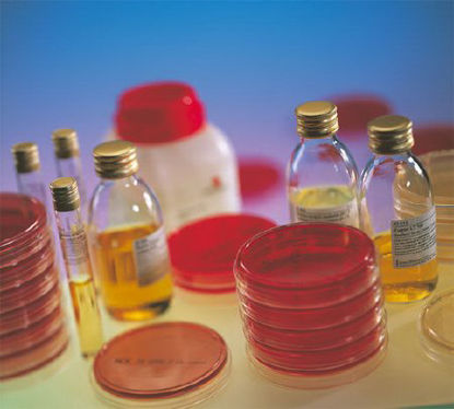 Picture of Culture Media chromID® Carbapenemase-Producing Enterobacteriaceae (CPE) Agar Mono-Plate Format414012