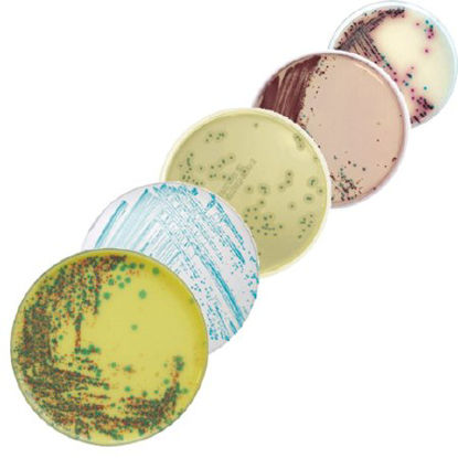 Picture of Culture Media chromID® CPS® Elite CPSO Agar Mono-Plate Format418206