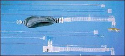 Picture of LINE, GAS SAMPLE W/MALE CONN 10' (20/CS) VITSGN5640I