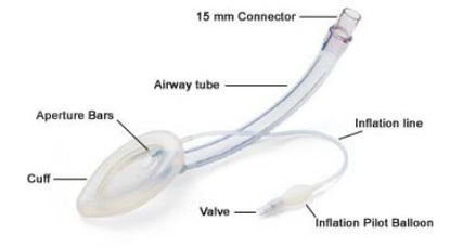 Picture of Endotracheal Tube LMA Fastrach® Size 7.5131075
