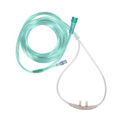 Picture of ETCO2 Nasal Sampling Cannula with O2 Delivery With Oxygen Delivery AirLife® Pediatric Curved Prong / NonFlared Tip2802F-10