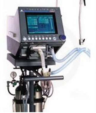 Picture of Ventilator Circuit Adult Without Bag Single Patient Use1003698