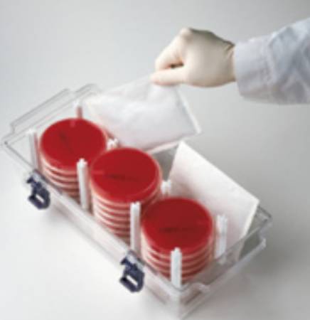 Picture of CO2 Generator261205