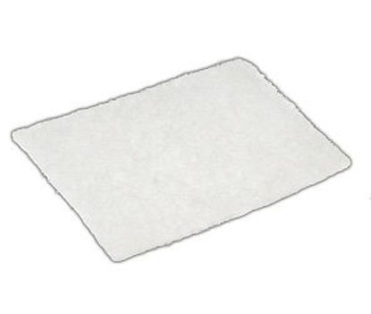 Picture of FILTER, CPAP S9 & AIRSENSE HYPOALLERGENICCF2107-1