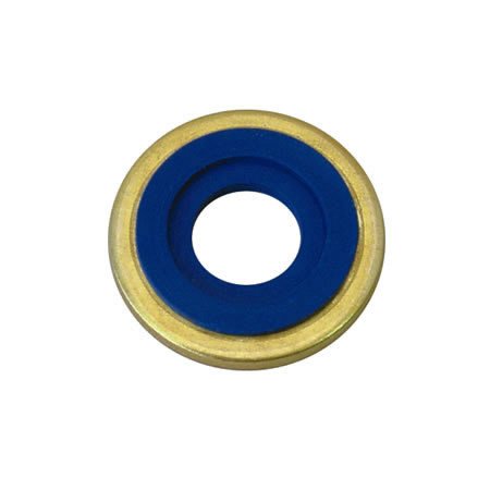 Picture of Oxygen Regulator Yoke Seal1221-25