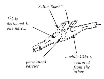 Picture of ETCO2 Nasal Sampling Cannula with O2 Delivery With Oxygen Delivery Salter Labs® Adult Curved Prong / NonFlared TipSO-449-14-14-25