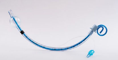 Picture of Endotracheal Tube Uncuffed 5.0 mmMS-23150