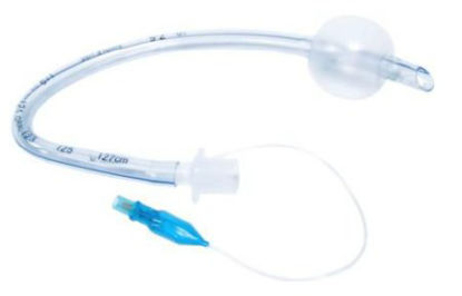 Picture of Endotracheal Tube SourceMark® Cuffed 6.0 mmM0560C