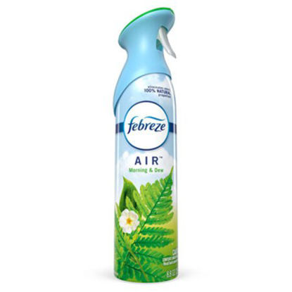 Picture of AIR, Morning and Dew, Formerly Meadows and Rain, 8.8 oz Aerosol Spray, 6/CartonPGC-96255