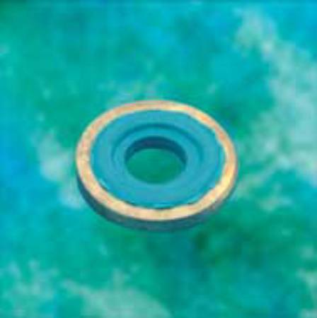 Picture of Viton / Brass Washer Seal2040