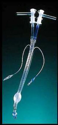 Picture of Broncho-Cath® Endobronchial Tube Size 37 Fr.125137