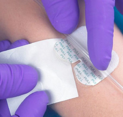 Picture of Quick Connector Schrader6203S