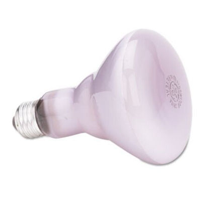 Picture of Incandescent Reveal BR30 Light Bulb, 65 WGEL-48692