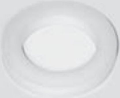 Picture of Regulator Teflon Seal300-16A