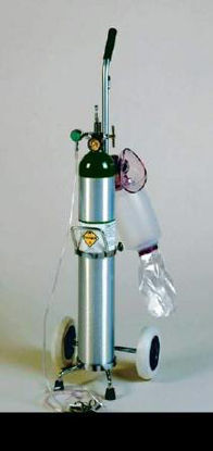 Picture of Oxygen Cylinder Size E1629