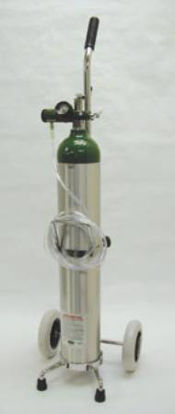 Picture of Oxygen Cylinder Kit Size E1616A-15