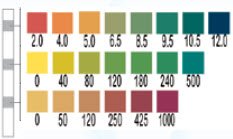 Picture of AquaTest™ Water Quality Test Strips 25 Tests per Box, 30 Second ResultsAT101