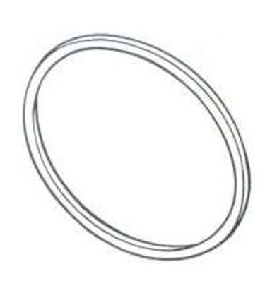 Picture of Door Gasket002-0243-00
