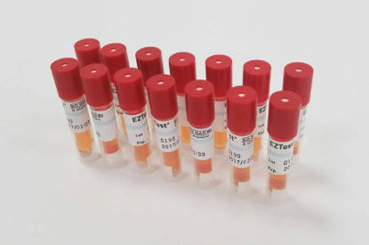 Picture of AnPro® Sterilization Biological Indicator Vial EO GasAN2203.00