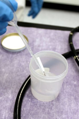 Picture of Sterilization Pouch Steriking® Ethylene Oxide (EO) Gas / Steam 7 X 12-1/2 Inch Transparent Heat Seal Paper / Film33