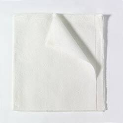 Picture of General Purpose Drape Encore™ Drape Sheet 40 W X 48 L Inch NonSterile9810824