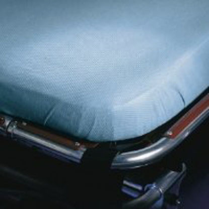Picture of Stretcher Sheet Snug-Fit® Fitted 30 X 84 Inch Blue Polyethylene Disposable44547
