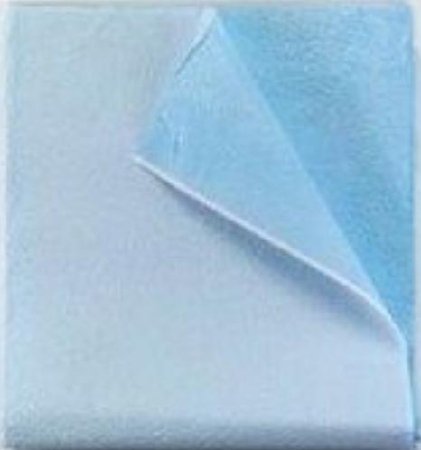 Picture of Stretcher Sheet Tidi® Everyday Flat 40 X 48 Inch Blue Tissue / Poly Disposable980924