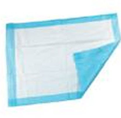 Picture of Procedure Underpad Tidi® 24 W X 36 L Inch Blue NonSterile16651
