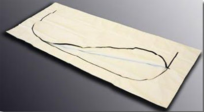 Picture of Post Mortem Bag EnviroMed-Bag® 40 W X 96 L Inch X-Large Olefin Film Zipper Closure, Envelope StyleEMD2-4096A