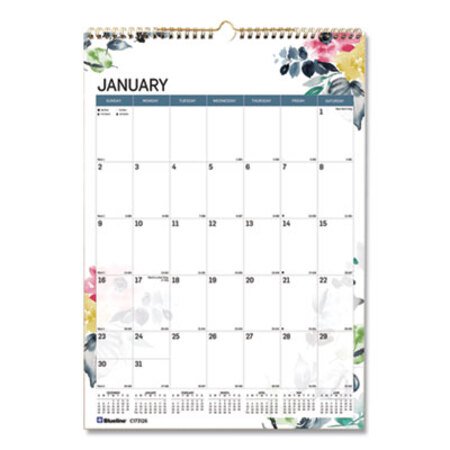 Picture of 12-Month Colorful Wall Calendar, 12 x 17, Watercolor, 2022RED-C173126