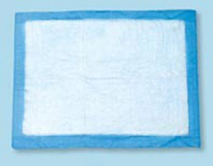 Picture of Procedure Underpad Tidi® 22 W X 36 L Inch Blue NonSterile16662