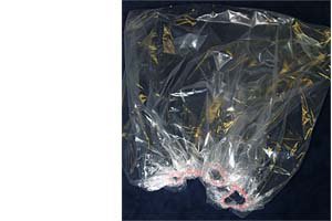 Picture of Equipment Cover Eazy Covers 40 X 40 InchEZ4040