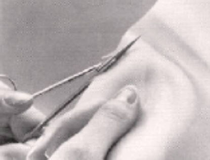 Picture of Silastic Sheeting 6 X 8 X 0.030 InchNC9473903