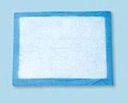Picture of Procedure Underpad Tidi® 22 W X 24 L Inch Blue NonSterile16661