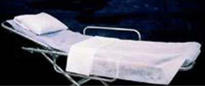 Picture of Stretcher Sheet Fitted 30 X 72 Inch Blue DisposableEF600