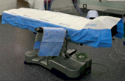 Picture of Lift Sheet CleanOp® 101.6-203.2 cm LLFTSH80N