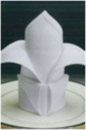 Picture of Tablecloth Premier Beige 52 X 52 Inch5399A541