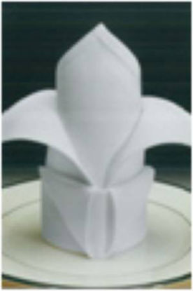 Picture of Tablecloth Premier Beige 52 X 52 Inch5399A541