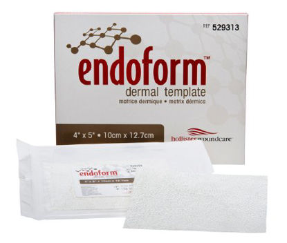Picture of Collagen Dressing Endoform® Natural Dermal Template Fenestrated Collagen /Glycosaminoglycans (GAGs) 2 X 2 Inch 10 per Pack529312