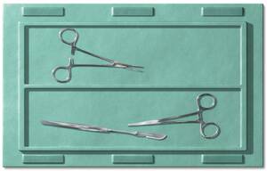 Picture of Saf-T-Pass™ Instrument Drape80700