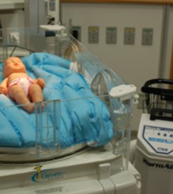 Picture of Air Warming Blanket FilteredFlo® 40 W X 56 L Inch Plastic / Air246