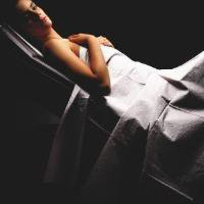 Picture of General Purpose Drape Graham Professional Drape Sheet 40 W X 48 L Inch70328N