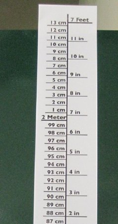 Picture of Height Chart Pedia Pals® 7 Foot Height Laminated100104