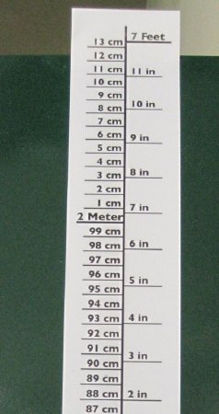 Picture of Height Chart Pedia Pals® 7 Foot Height Laminated100104